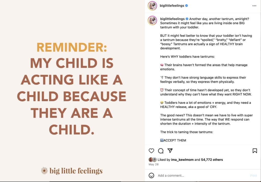 A post from the Big Little Feelings instagram that reads: "Reminder" My child is acting like a child because they are a child."