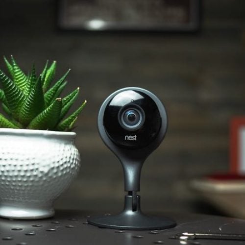 Nest Cam on a table with a plant