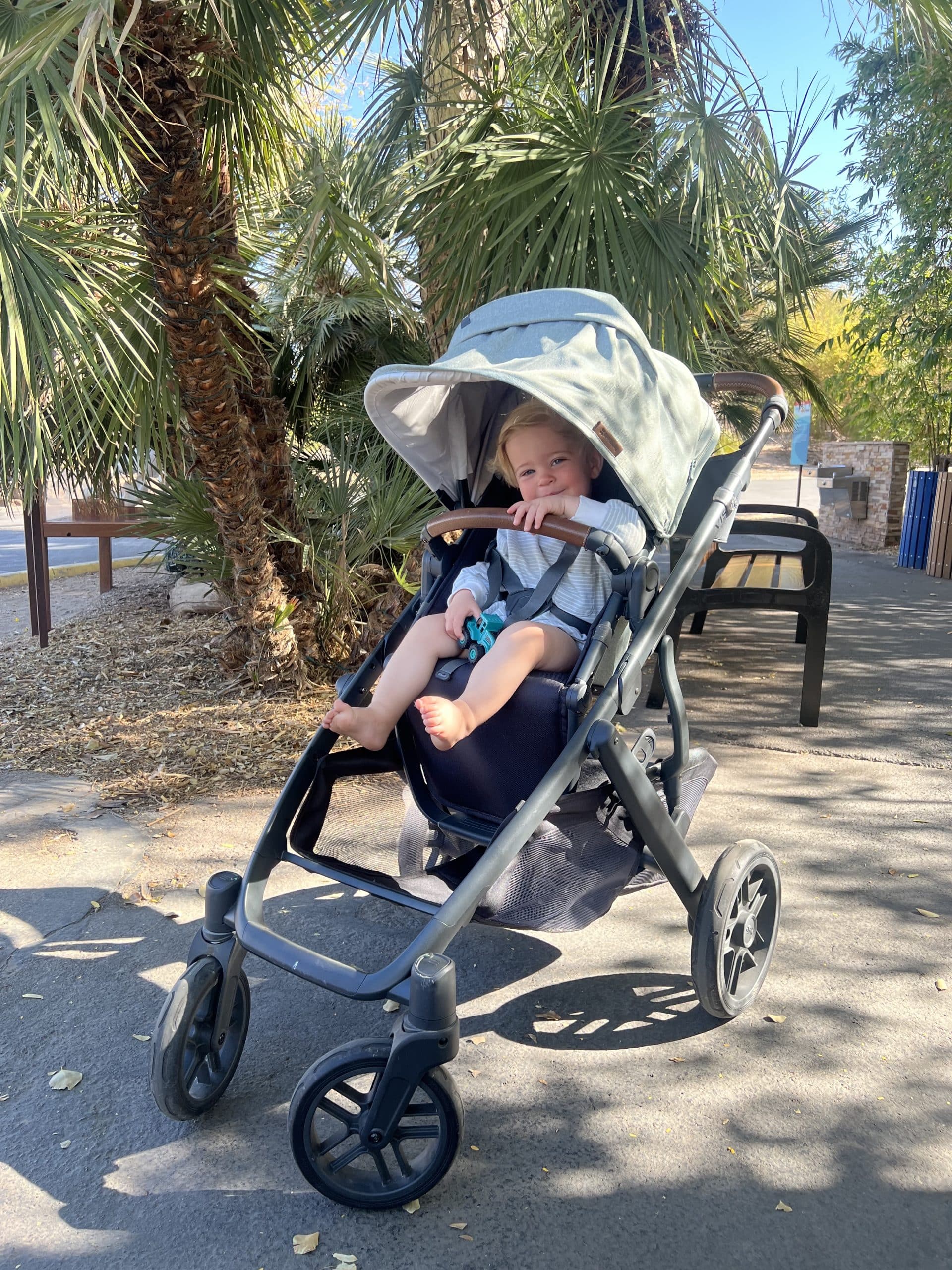 UPPPAbaby Vista V3 stroller
