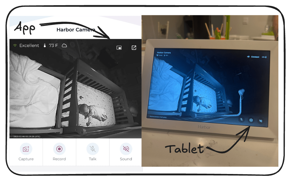 a side-by-side view of a baby sleeping in a crib viewed via the Harbor app vs. the Harbor tablet