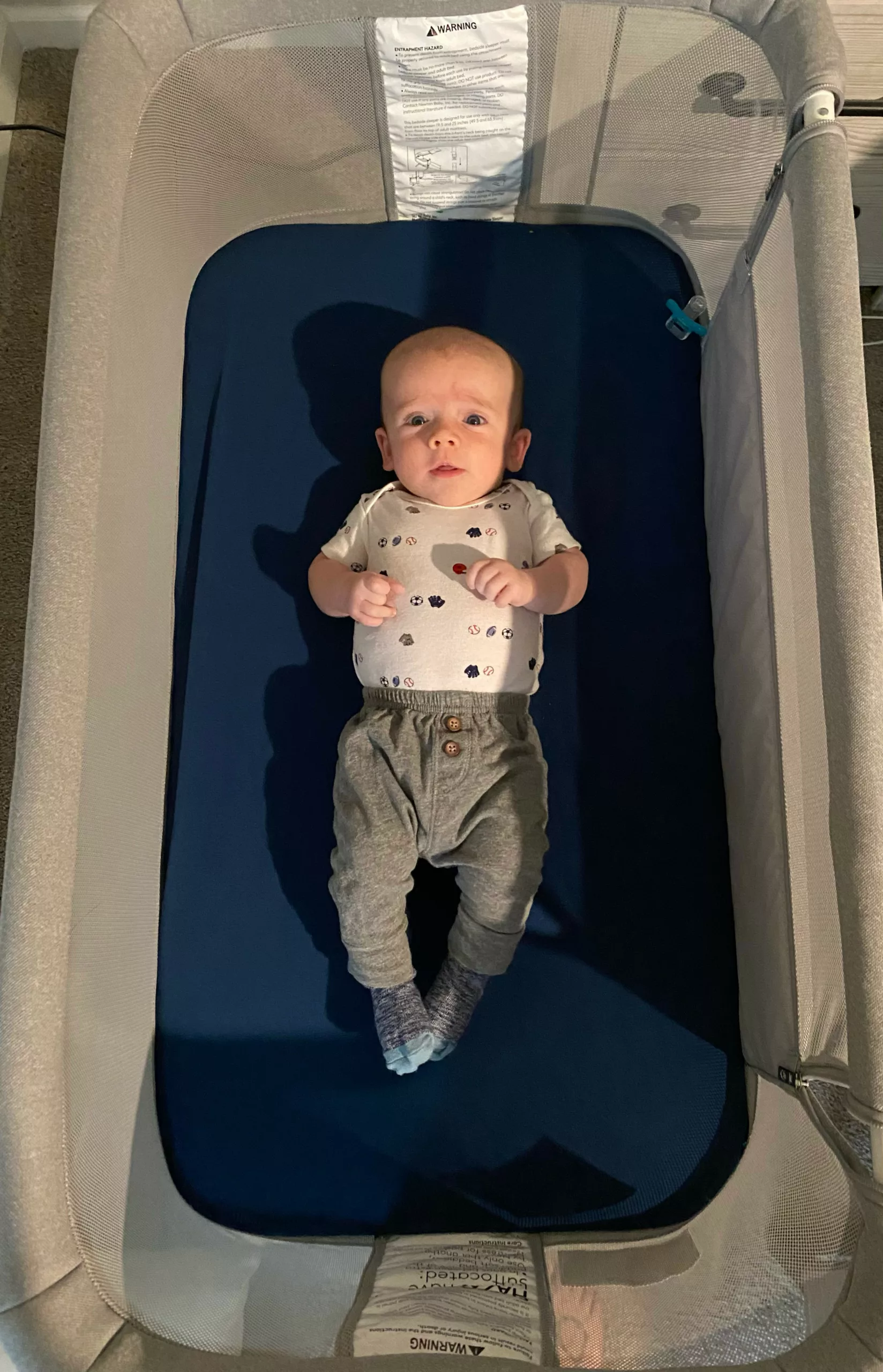 Newborn baby lies awake on his back in a Newton Bassinet with blue sheets